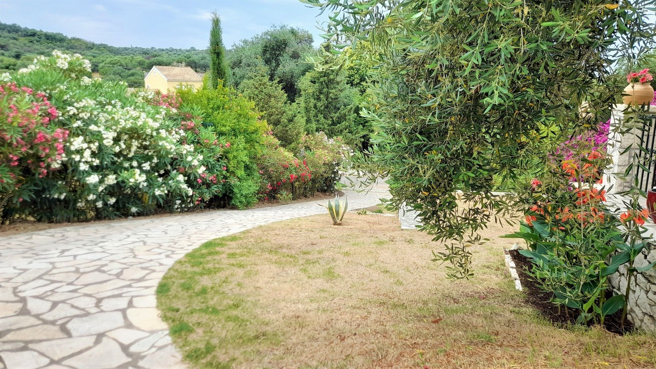 Photo of Outdoor in Old Town
