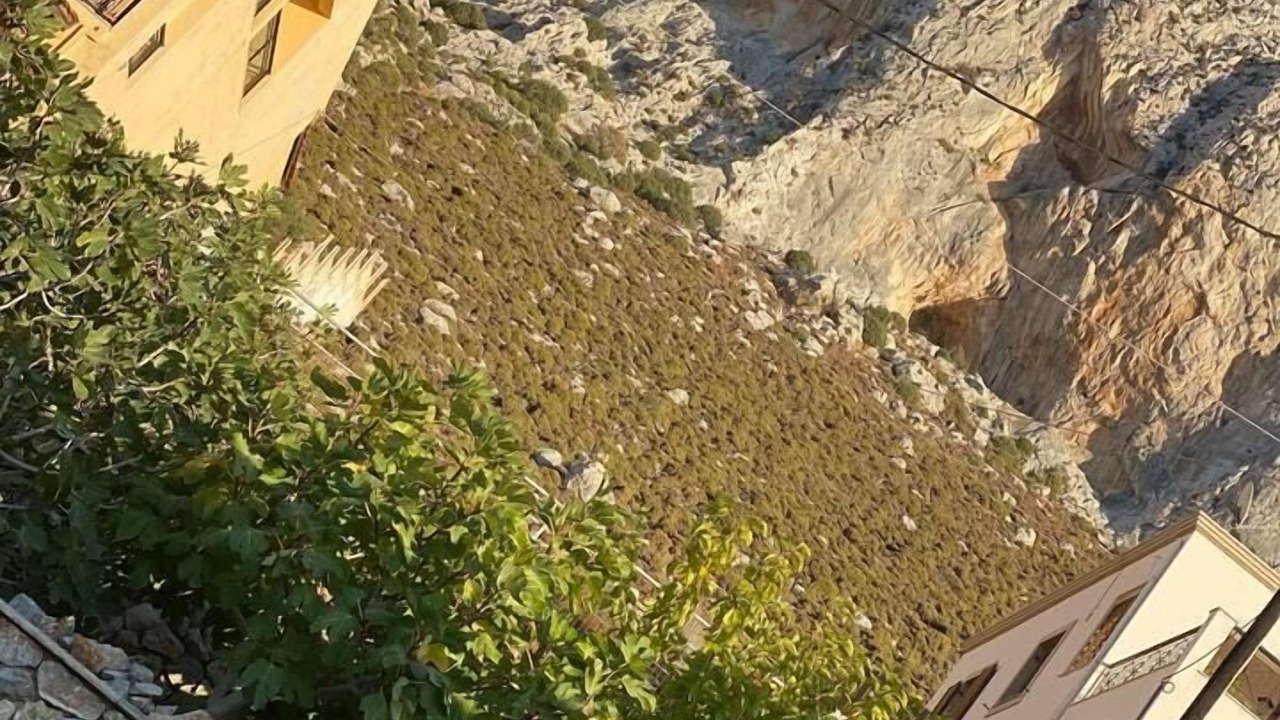 Photo of Others in Massouri