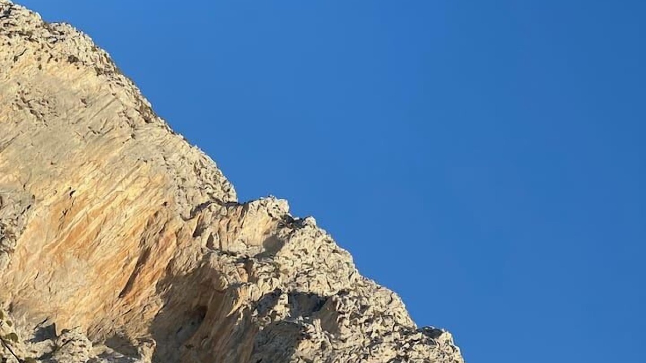 Photo of Others in Massouri