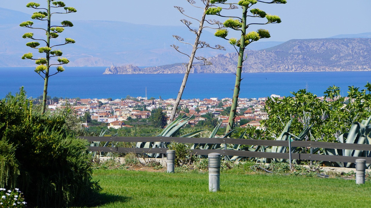 Photo of Outdoor in Velo-Vocha