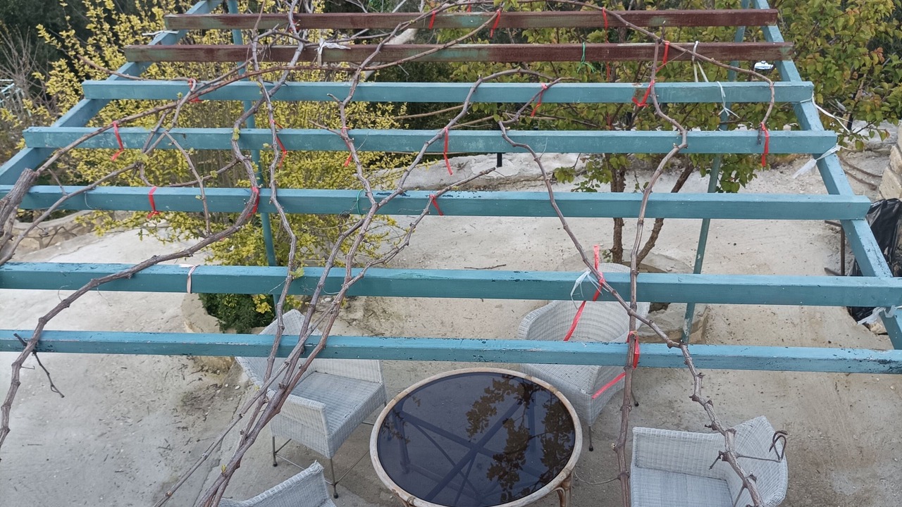 Photo of Outdoor in Agia Thekli