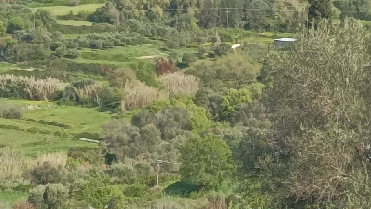 Photo of Others in Agia Thekli