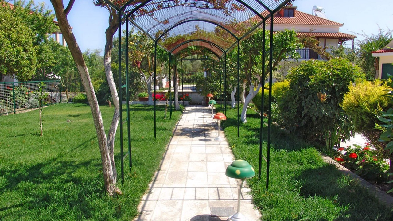 Photo of Outdoor in Ano Vasilikos