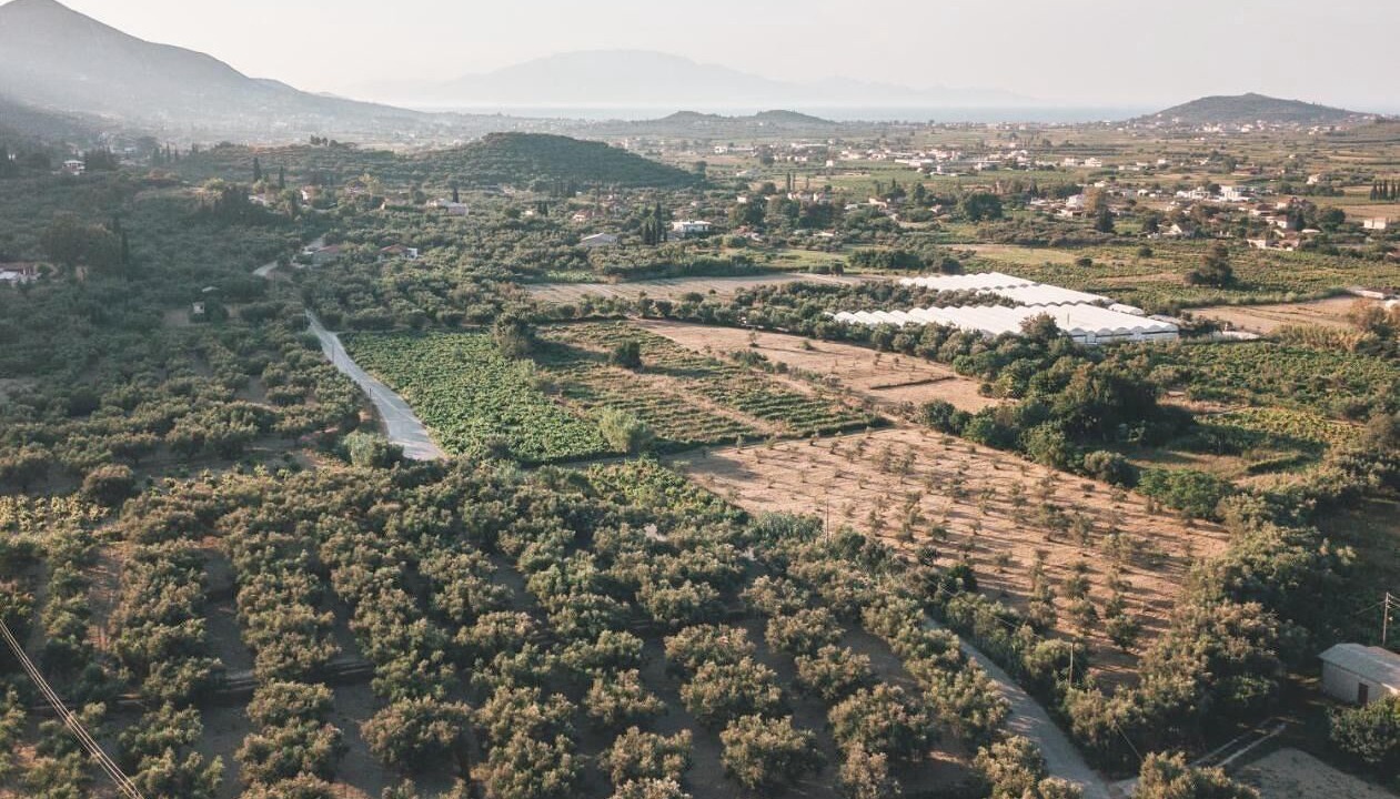 Photo of Outdoor in Agia Marina