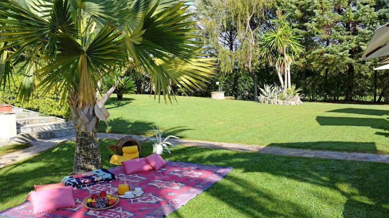 Photo of Outdoor in Afra