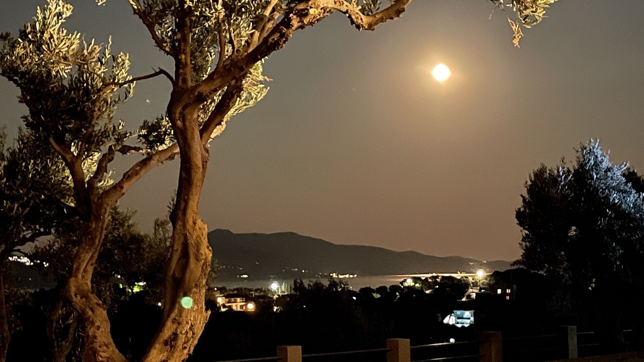 Photo of Outdoor in Skiathos