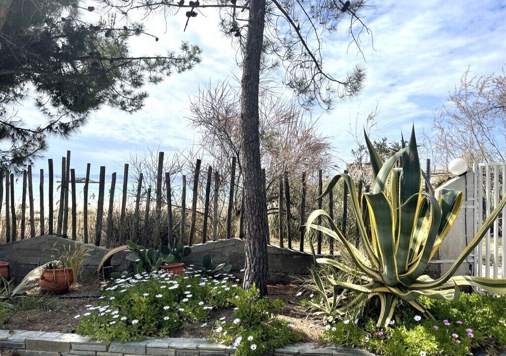Photo of Outdoor in Elia