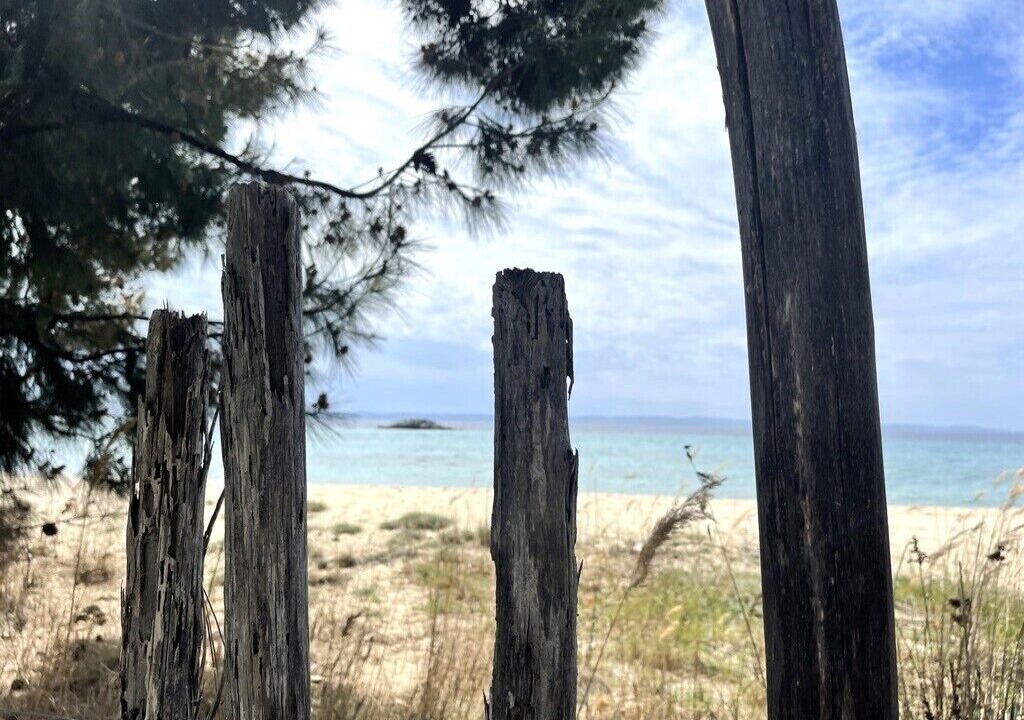 Photo of Others in Elia