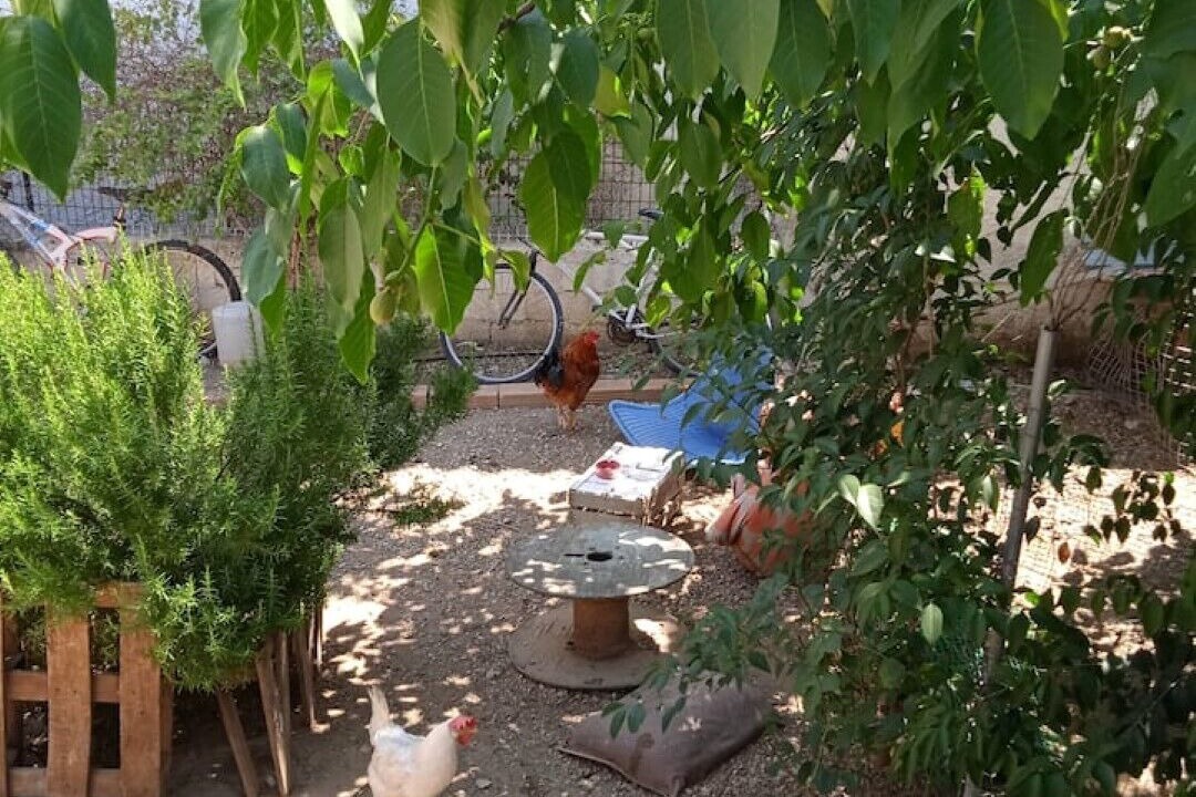Photo of Outdoor in Fyli