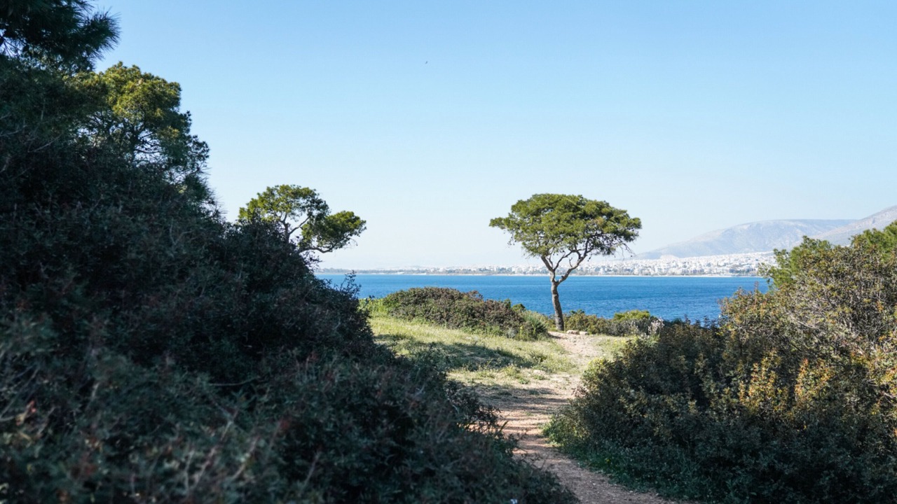 Photo of Outdoor in Vouliagmeni