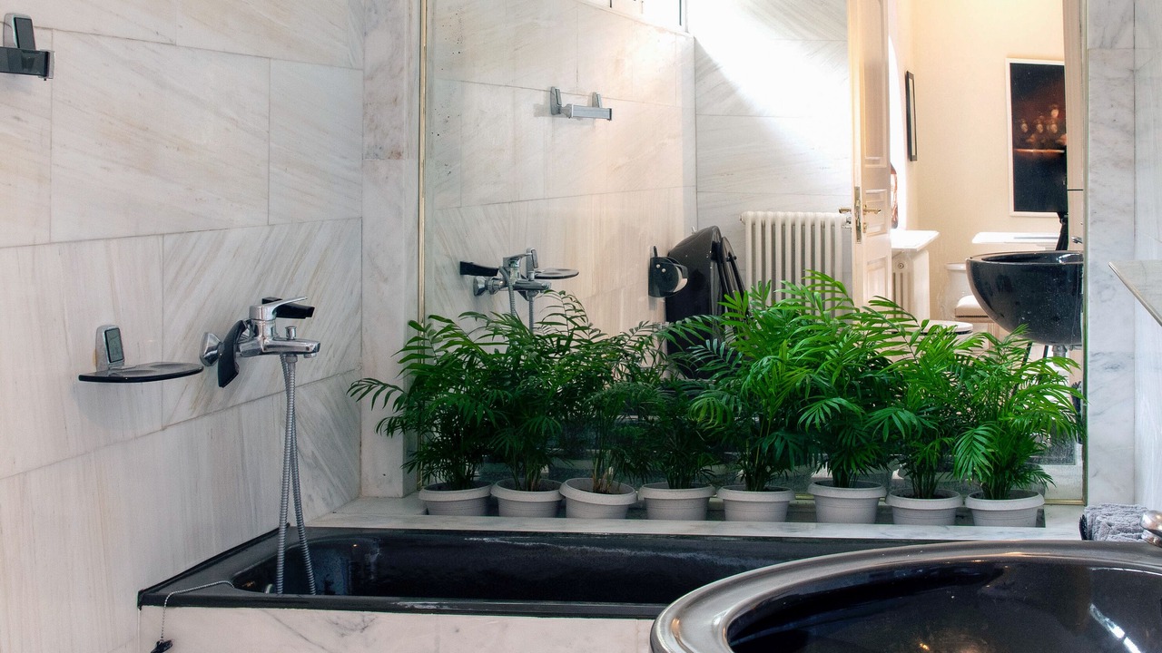 Photo of Bathroom in Oropos