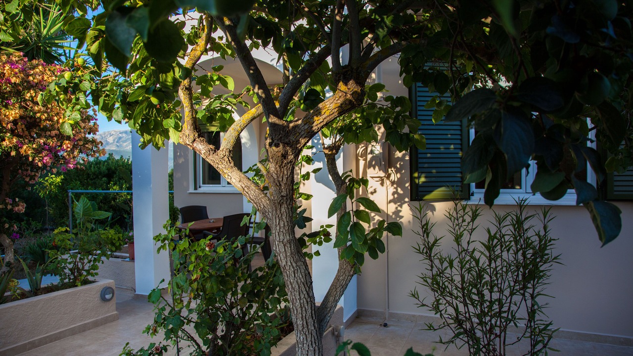 Photo of Patio Balcony in Kaligata