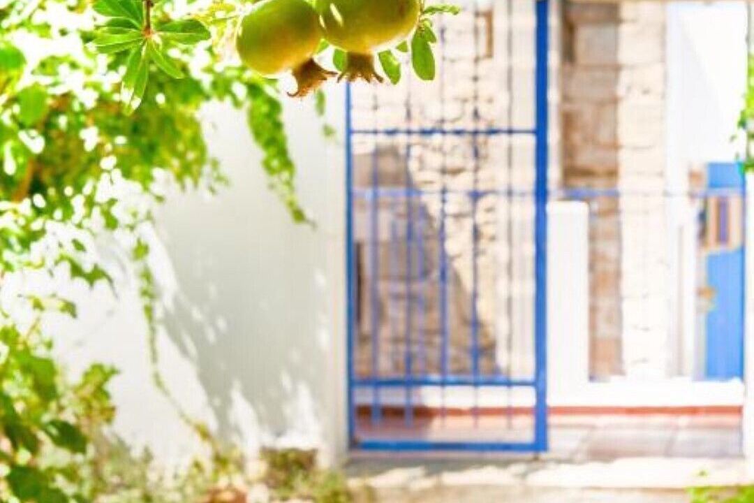Photo of Outdoor in Argyroupoli
