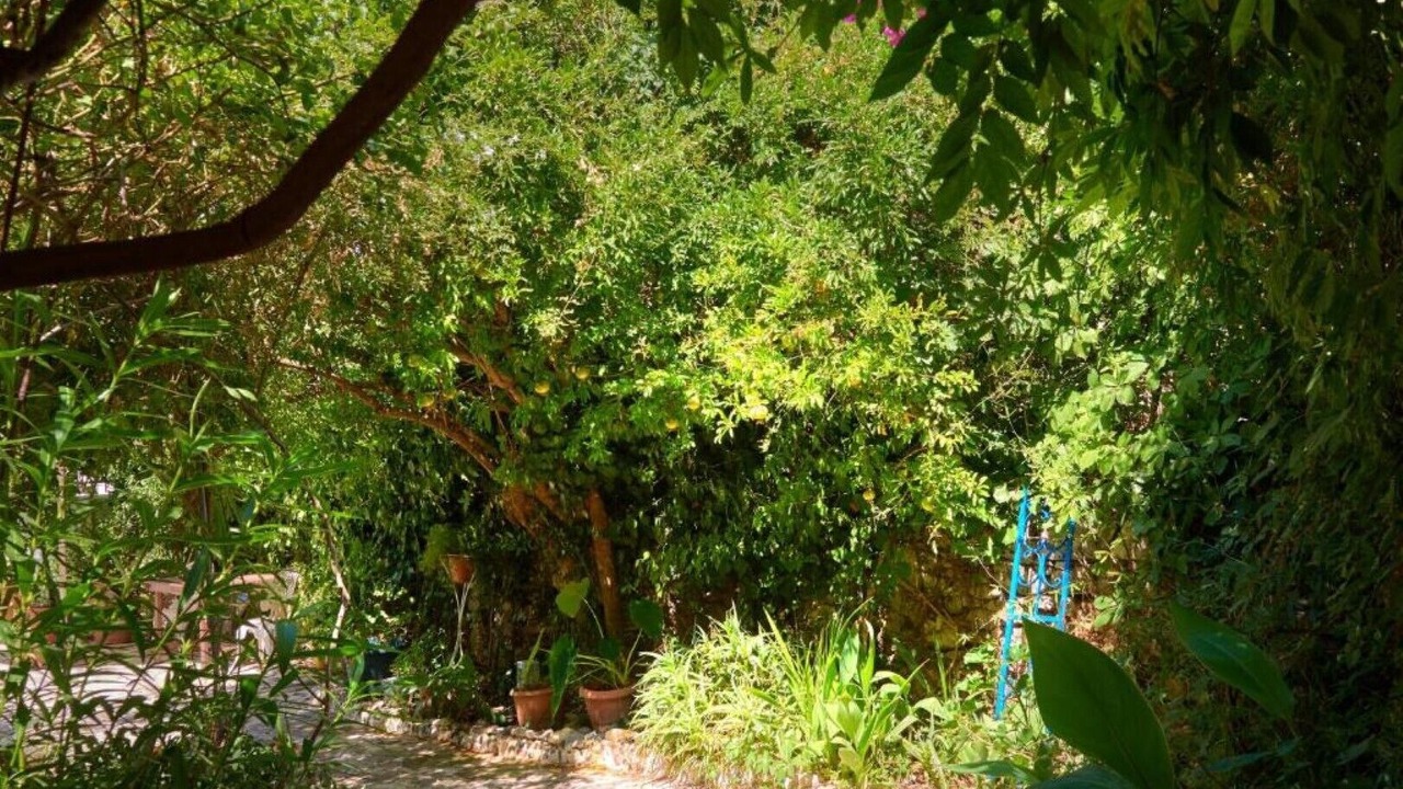 Photo of Outdoor in Argyroupoli