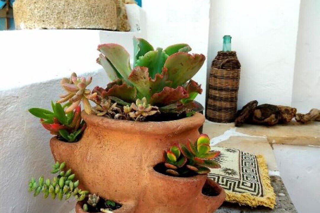Photo of Outdoor in Argyroupoli