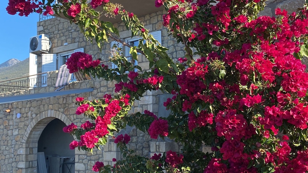 Photo of Outdoor in Lefktron