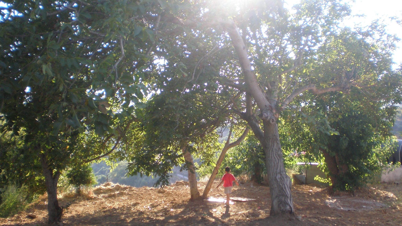 Photo of Outdoor in Latziana