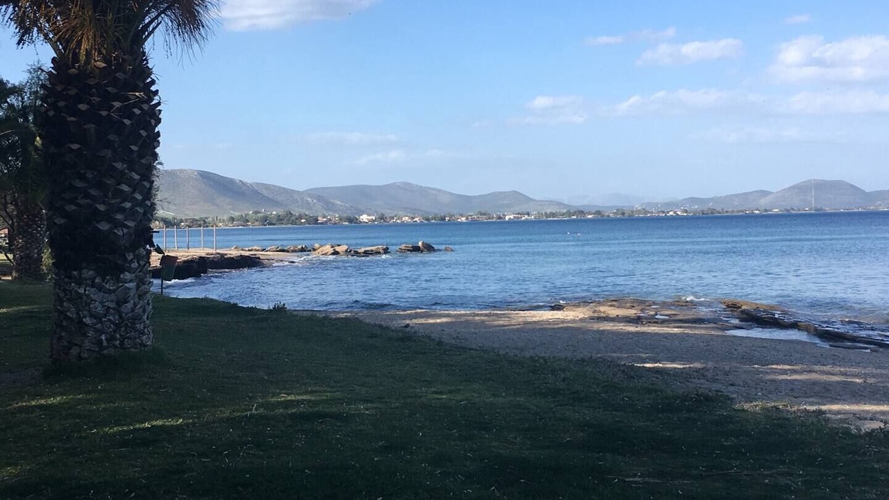 Photo of Others in Nea Makri
