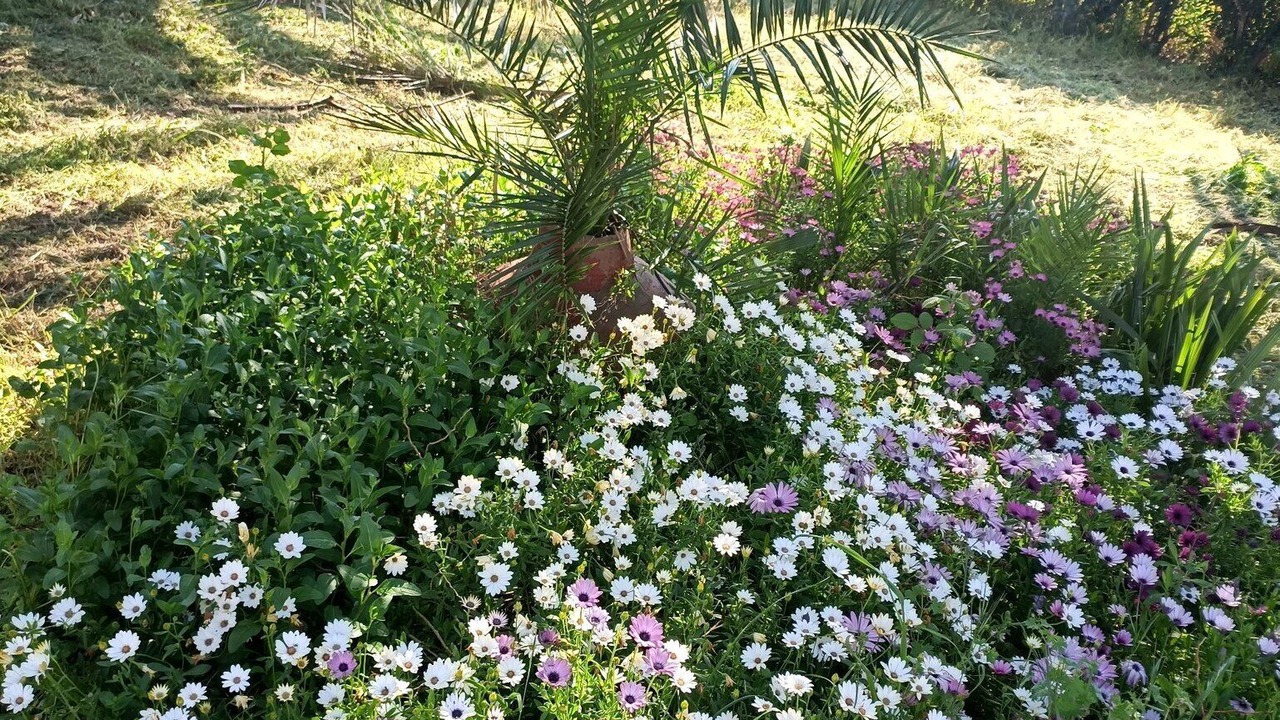 Photo of Outdoor in Skala Kallonis