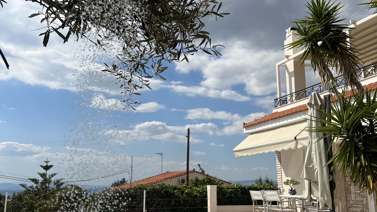 Photo of Outdoor in Vouliagmeni