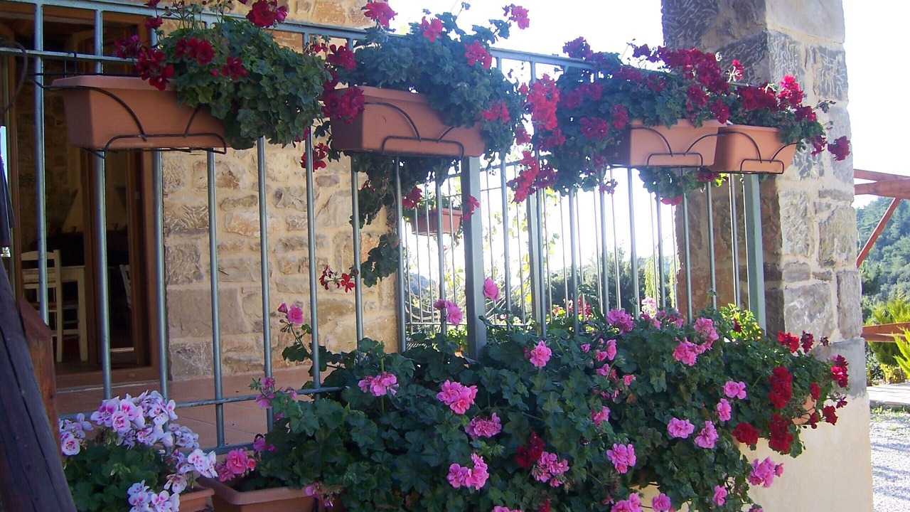 Photo of Outdoor in Kato Simi