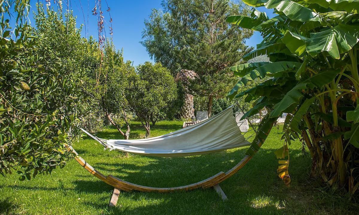 Photo of Outdoor in Vassiliki