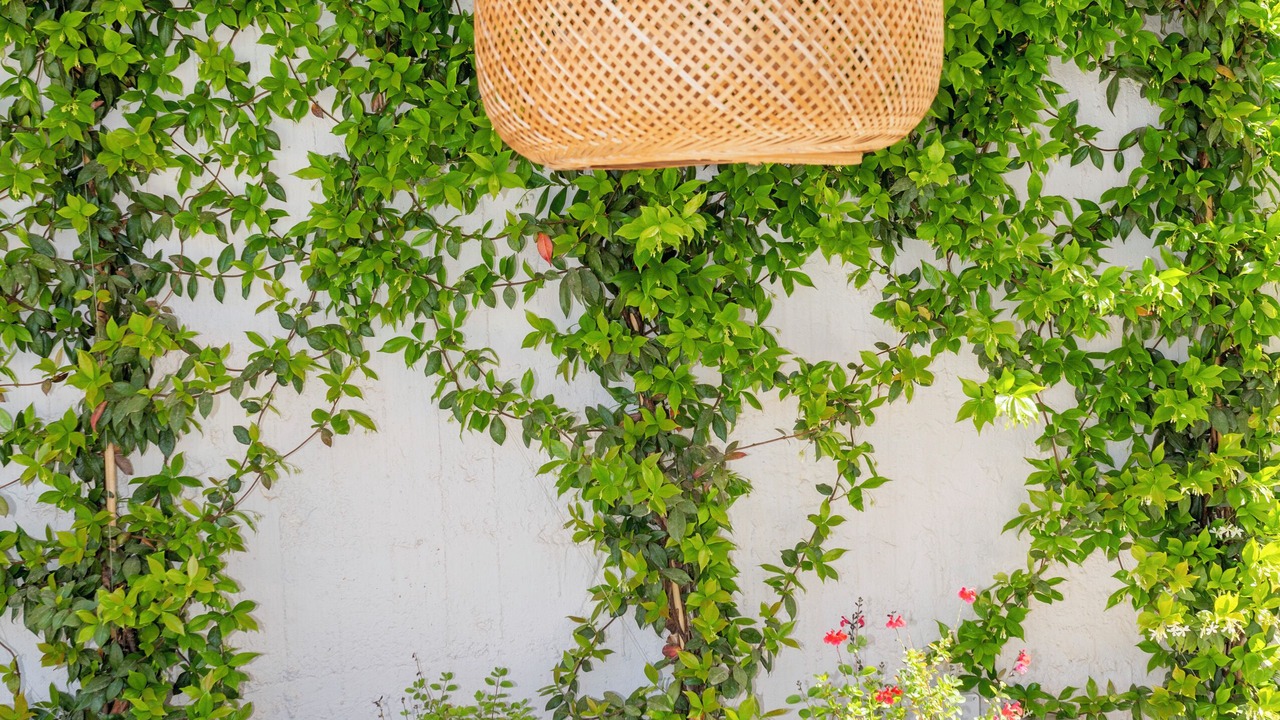 Photo of Outdoor in Messinia
