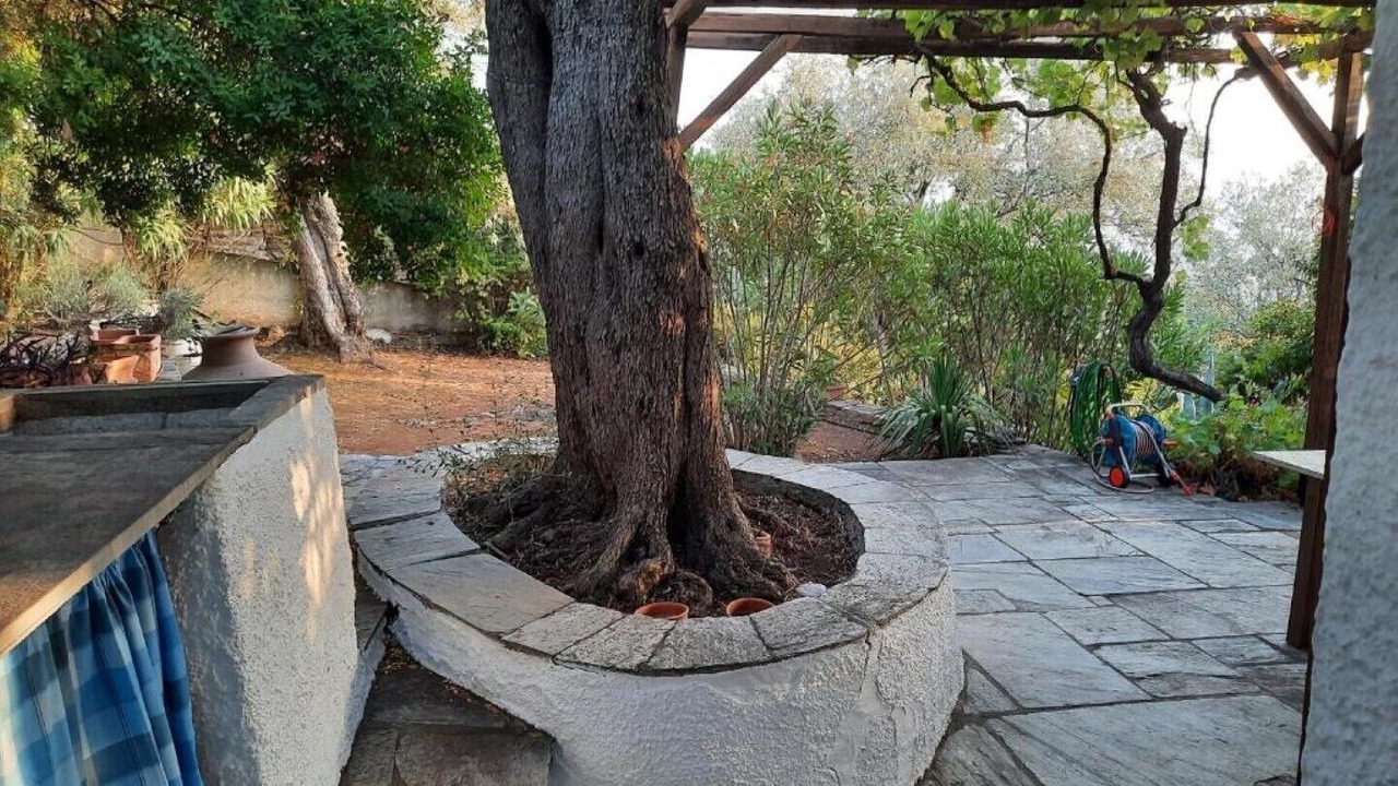 Photo of Outdoor in Afissos