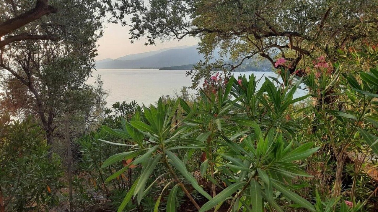 Photo of Outdoor in Afissos