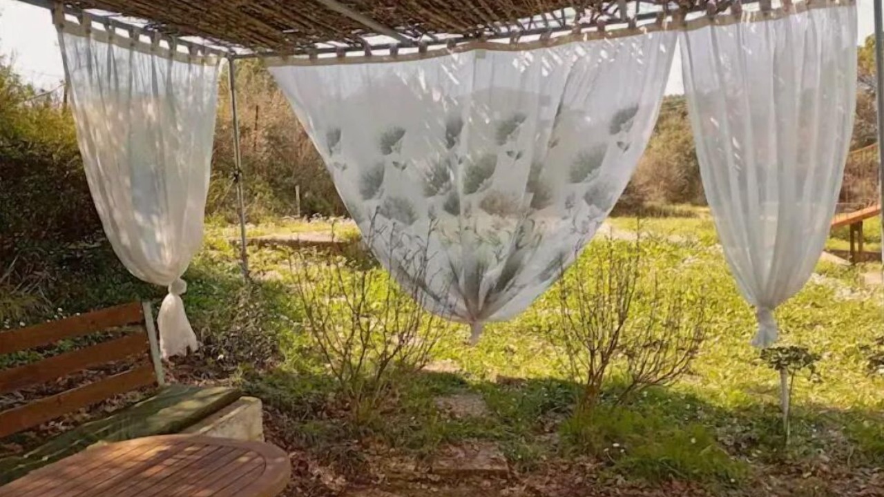 Photo of Outdoor in Pelekas