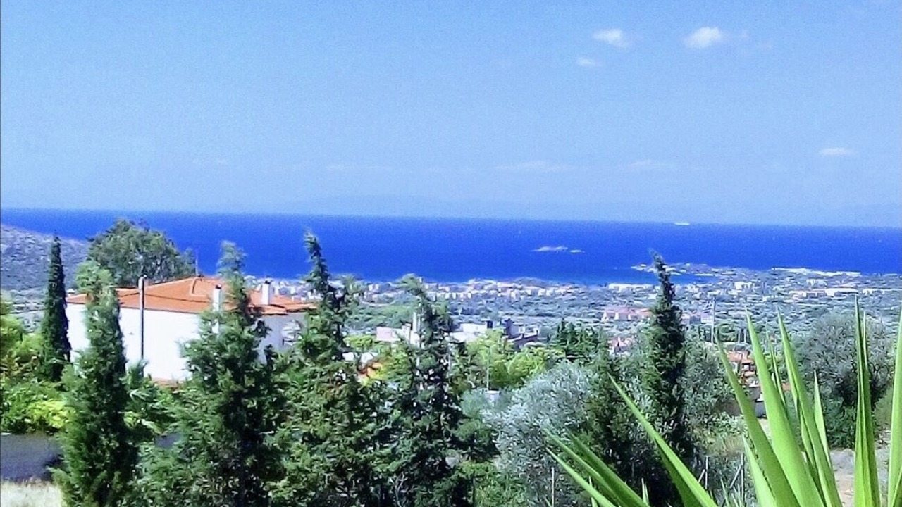 Photo of Others in Saronikos
