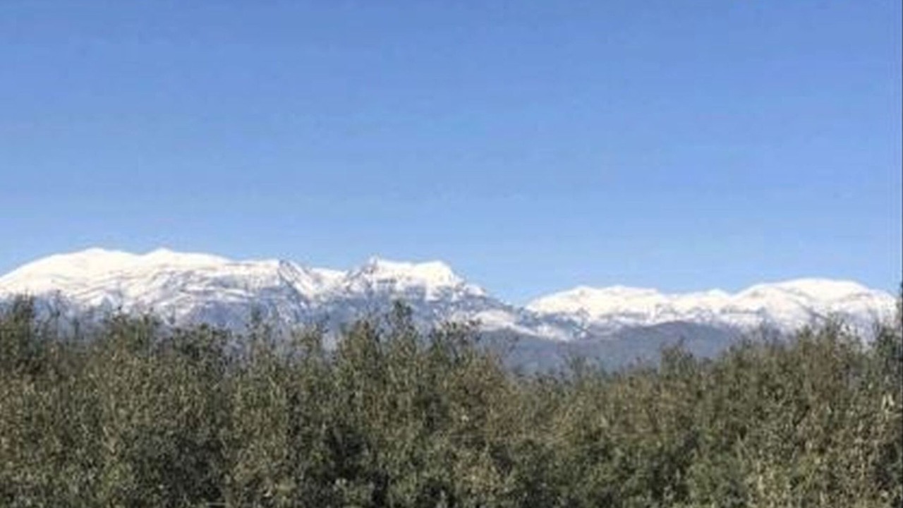 Photo of Outdoor in Petrokefalion