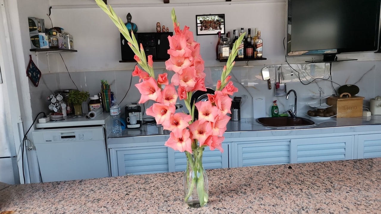 Photo of Kitchen in Metamorfosi