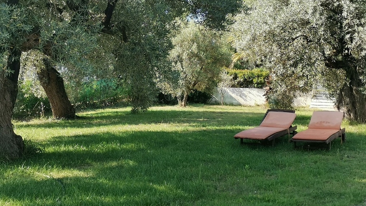 Photo of Outdoor in Metamorfosi
