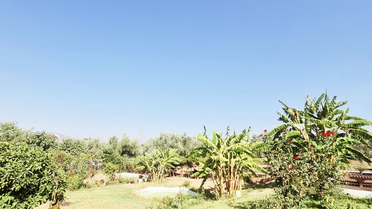 Photo of Outdoor in Lithakia
