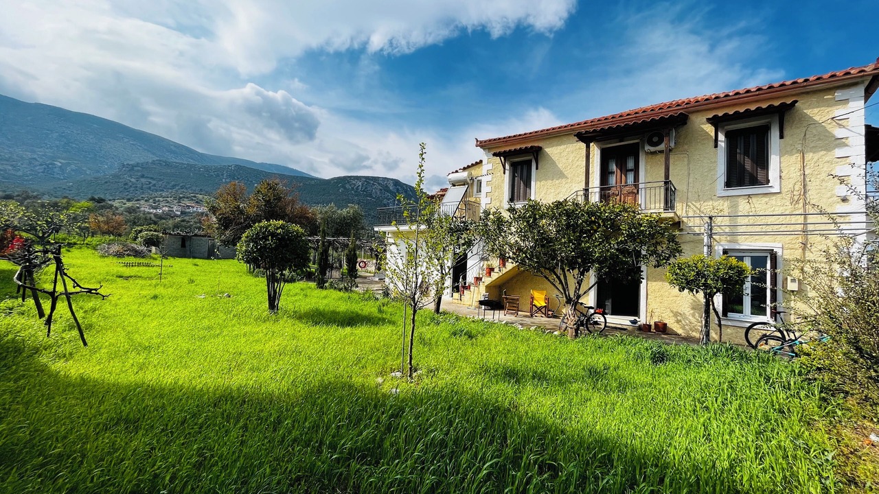 Photo of Outdoor in Sipiada