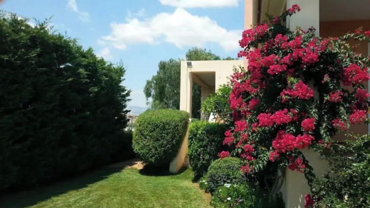 Photo of Outdoor in Porto Rafti