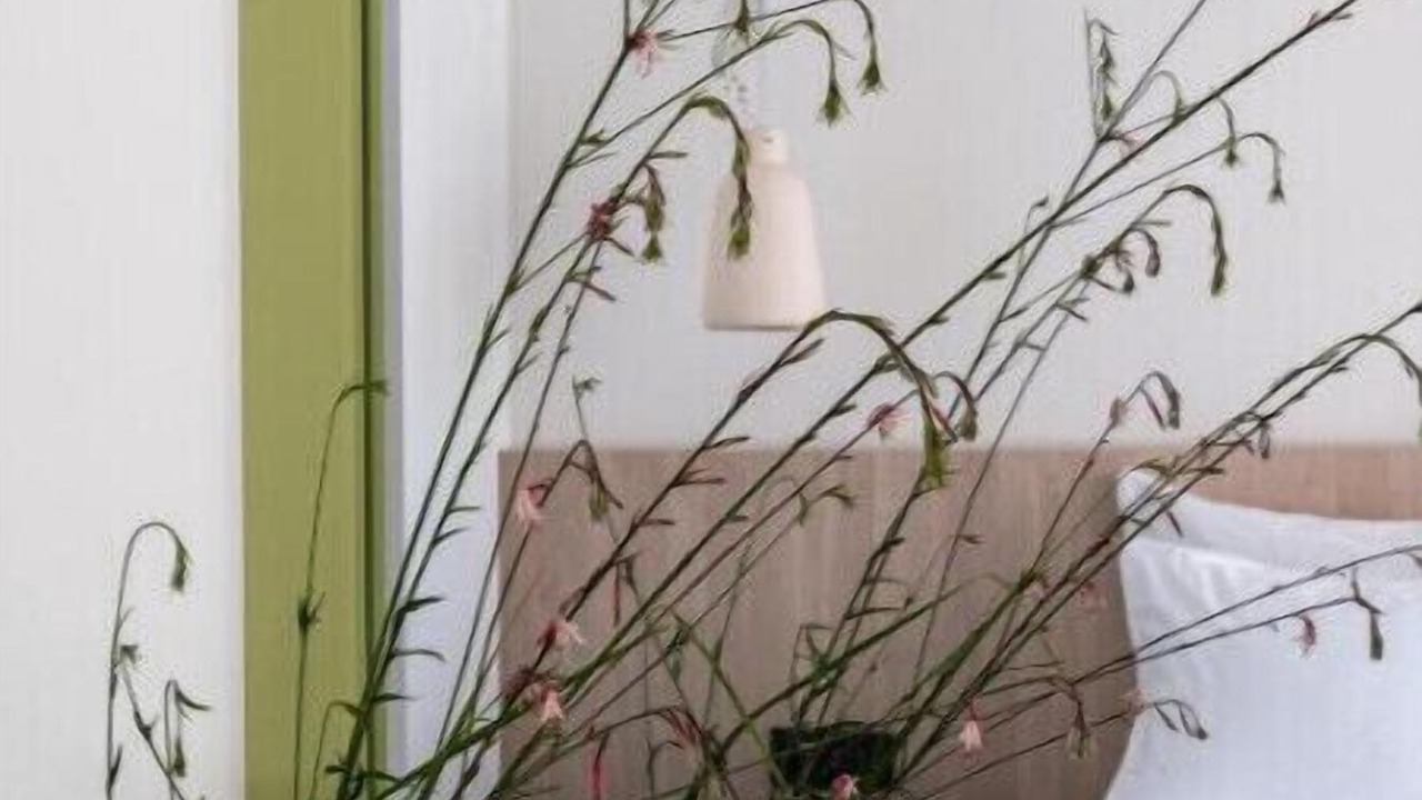 Photo of Bedroom in Gargaliani