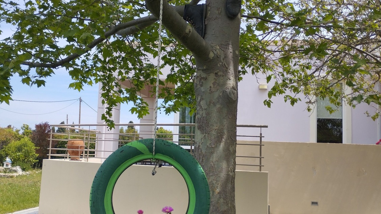 Photo of Outdoor in Tingaki