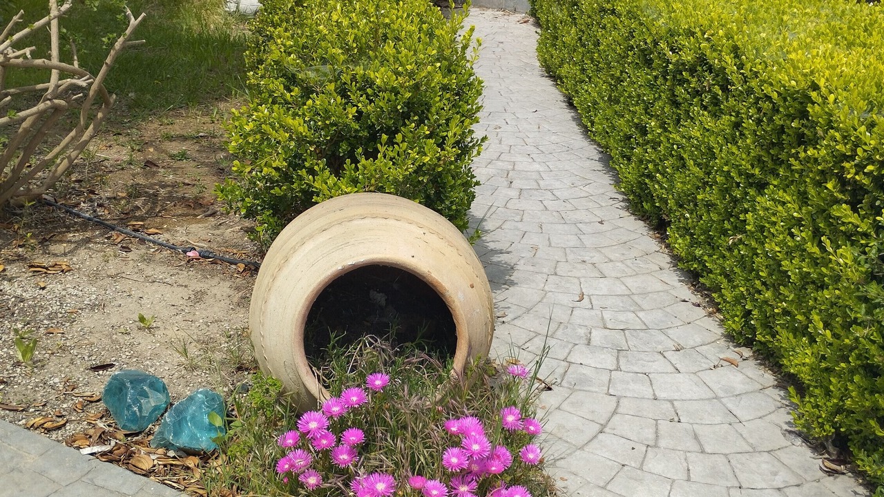 Photo of Outdoor in Tingaki