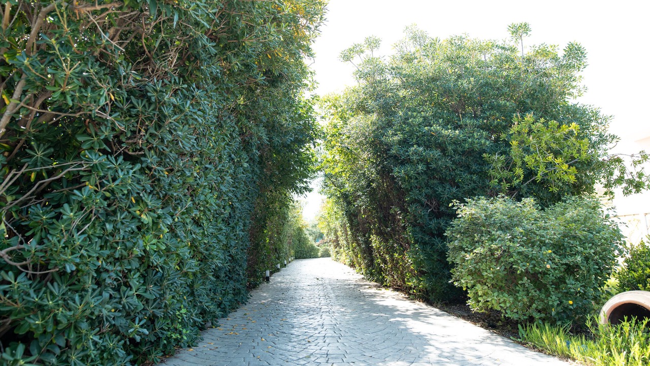 Photo of Outdoor in Tingaki