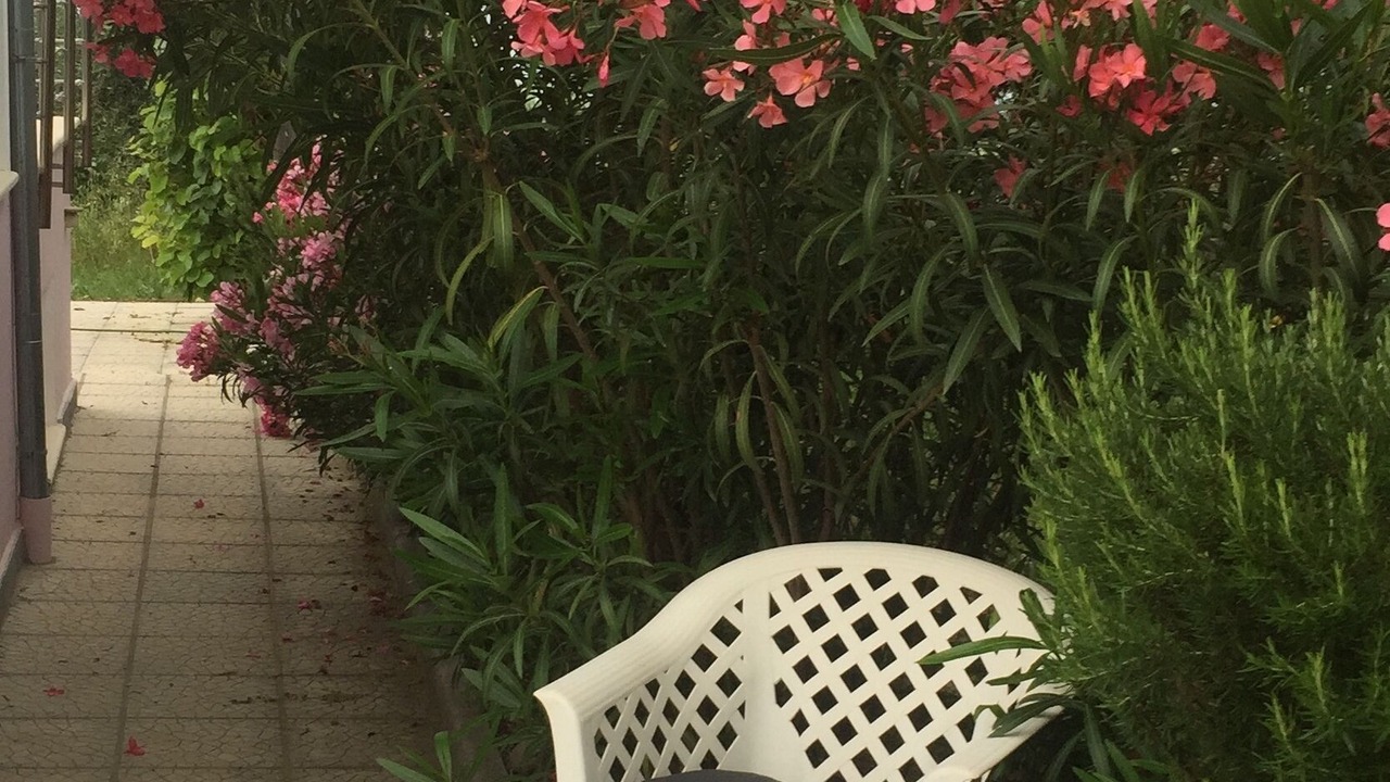 Photo of Patio Balcony in Pangaio