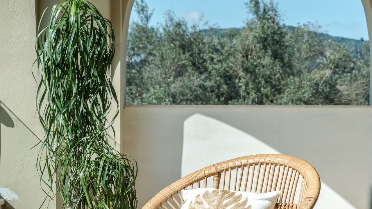 Photo of Patio Balcony in Vanato