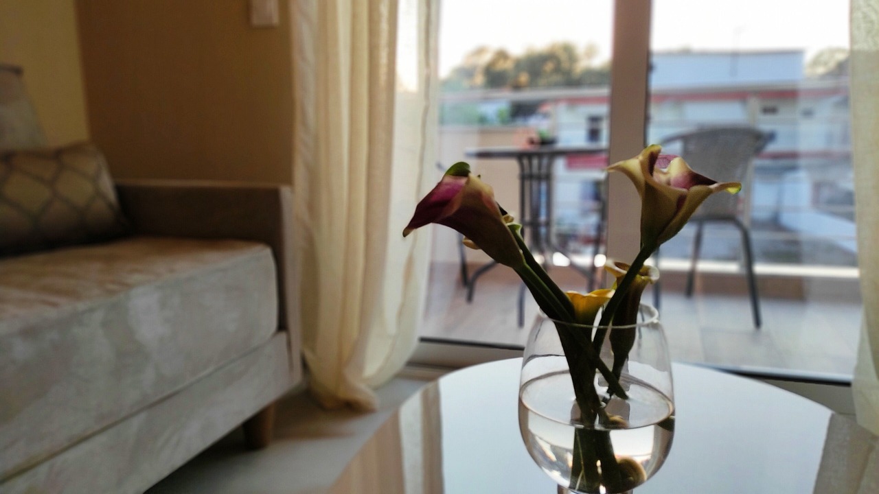 Photo of Livingroom in Ammoudia