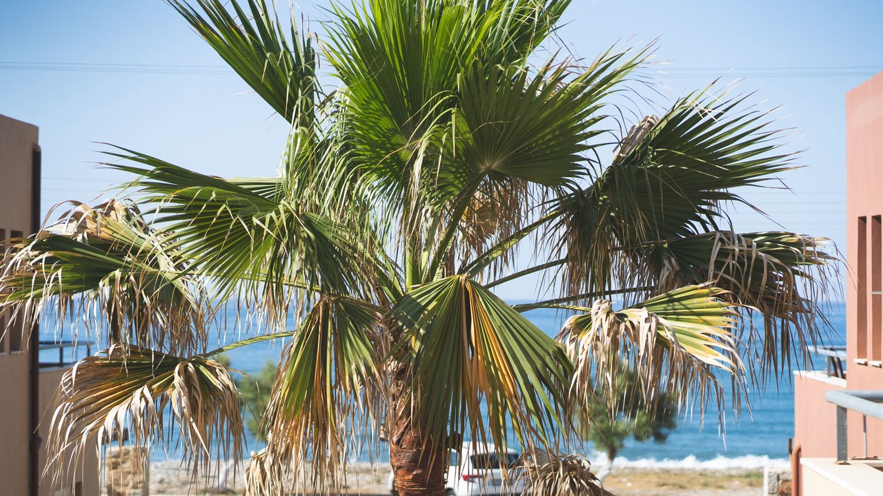 Photo of Others in Maleme