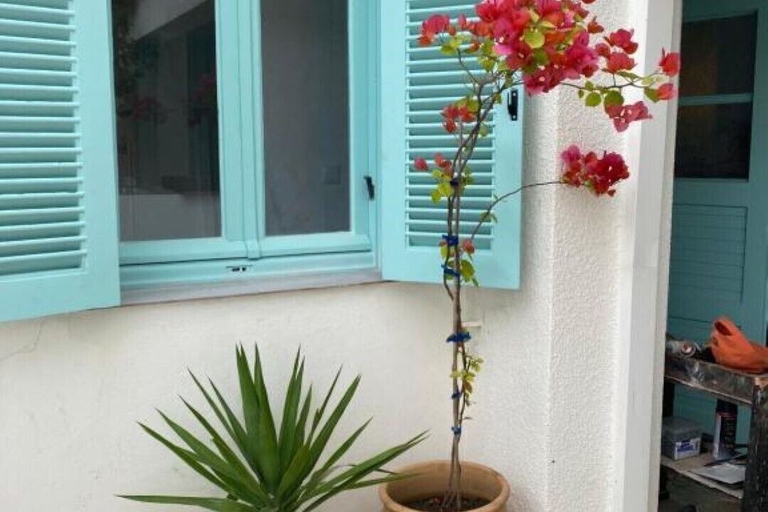 Photo of Outdoor in Spata-Artemida