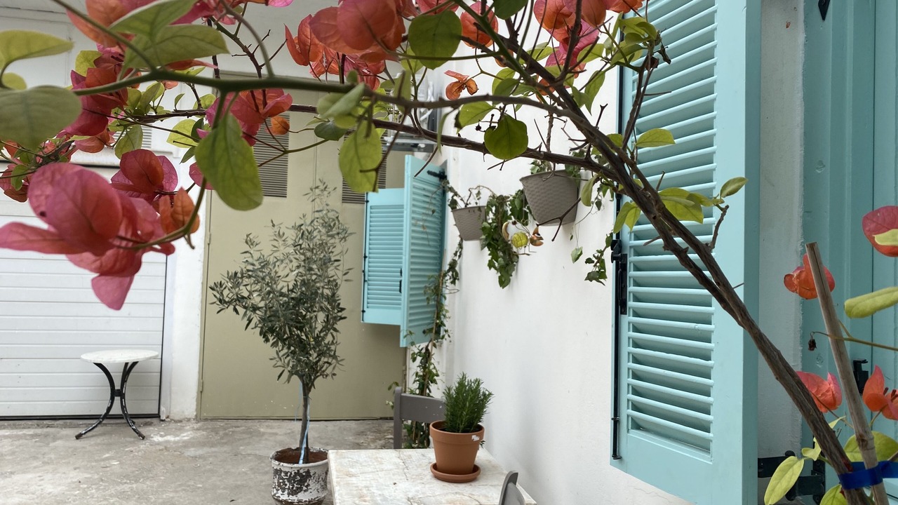 Photo of Outdoor in Spata-Artemida