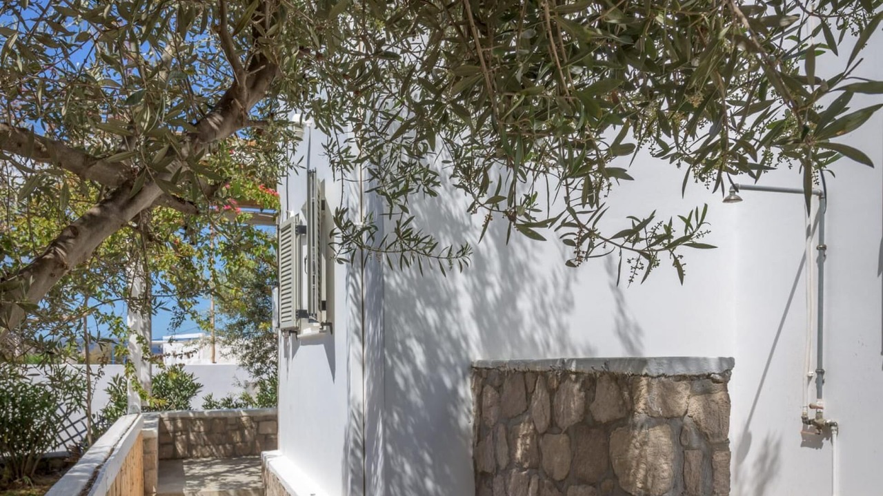 Photo of Outdoor in Adamas