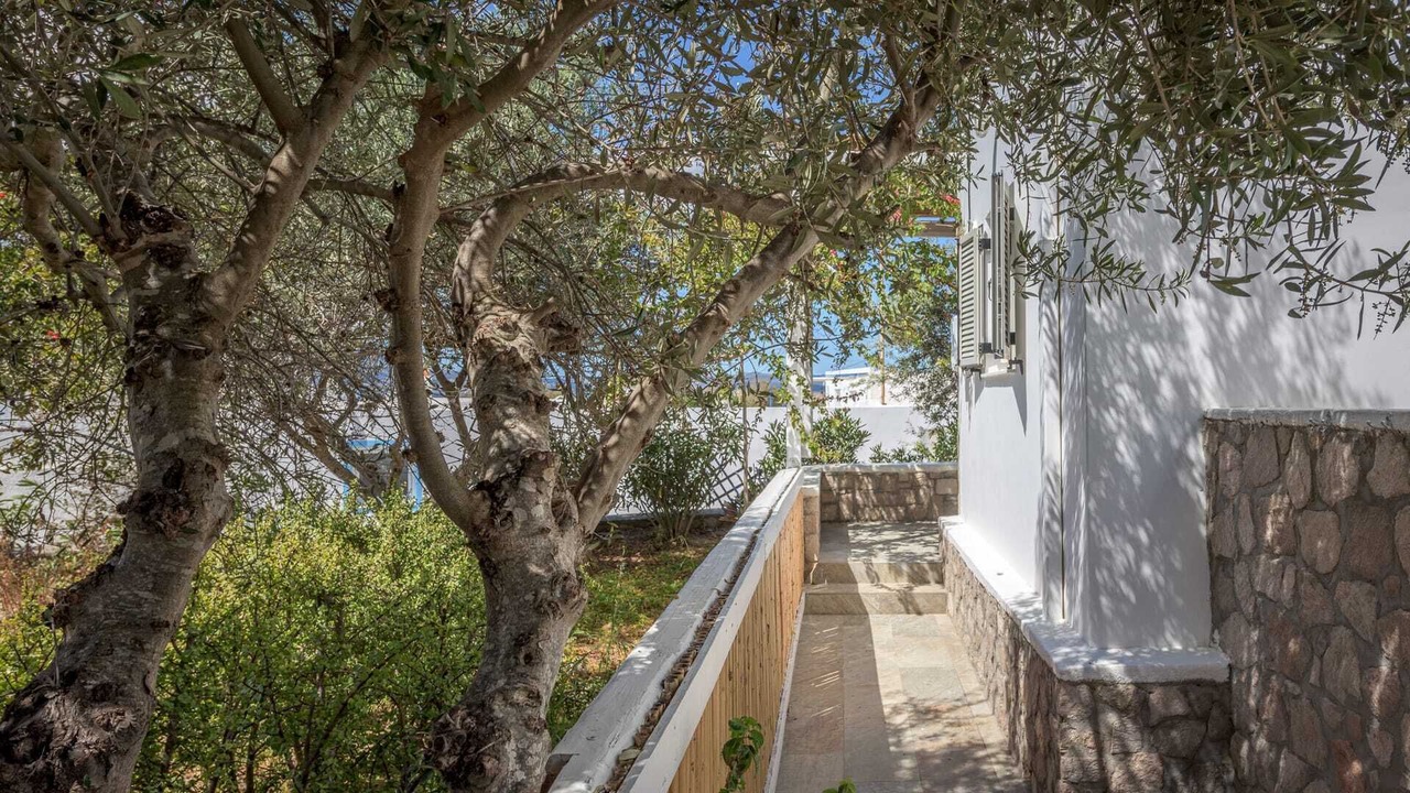 Photo of Outdoor in Adamas