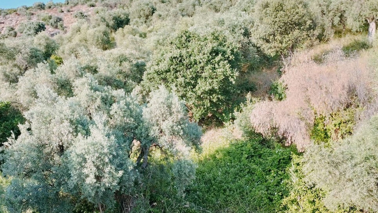 Photo of Patio Balcony in Lefokastron